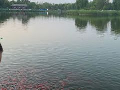 -西海子公园