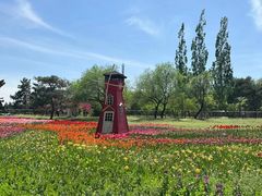 -国家植物园南园