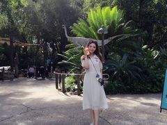 -好莱坞环球影城