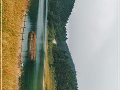 -武陵山森林公园