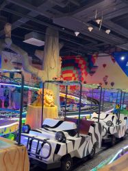 -卡通尼·Safari非洲探索乐园·生日会(金桥国际商业广场店)