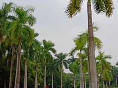 -南宁南湖公园