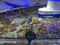 -澜悦港海鲜体验主题餐厅