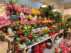 -双季花艺园艺市场(浦东店)