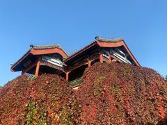 -功德林素菜饭庄(前门店)