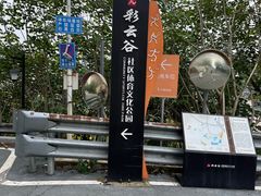 -重庆彩云湖湿地公园