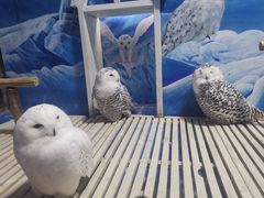 -成都浩海立方海洋公园