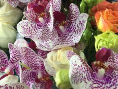 -BOBLOOM花店(宝龙旭辉广场店)