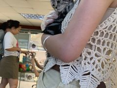 -lincat·猫舍(广州店)
