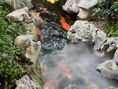 -鲤院·新中式美学·庭院餐厅(夫子庙店)
