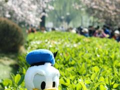 -元大都城垣遗址公园