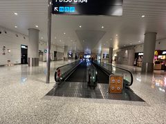 -广州白云国际机场-T2航站楼