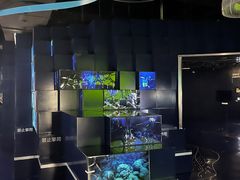 -同济大学四平路校区深海探索馆