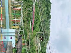 -长沙黑麋峰国家森林公园