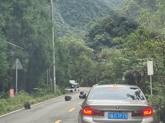 -西岭雪山大飞水景区