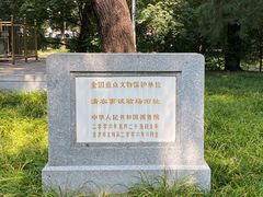-北京动物园-畅观楼