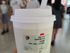 小白茶-茶理宜世(东方宝泰店)