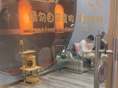 -BABIT巴比特宠物(MOMOPARK店)