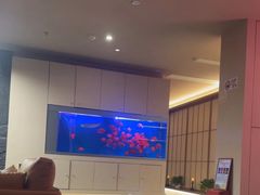 -宫七SPA·高端Massage(浦东大道店)