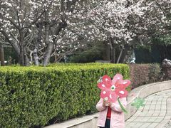 -上海大学(宝山校区)