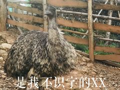 -昆明动物园
