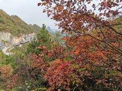 -塔云山