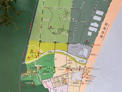 -日照海滨国家森林公园