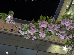 -中粮·祥云小镇