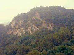 -沣峪口