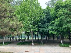 -仰山公园
