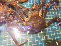 -驻海渔市(置信店)