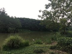 -白鹭湾湿地公园