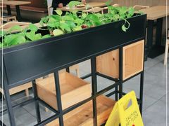 自助取餐区-三好食堂(煎饺·馄饨·肉饼米线·盛世广场店)