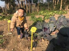 -前小桔亲子创意农场·草莓采摘·露营烧烤