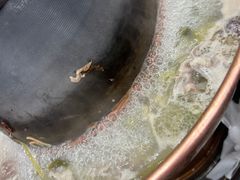 -楼外楼大刀肉传统火锅(西安大路店)