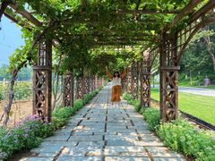 -北京张裕爱斐堡酒庄