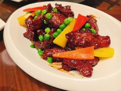 -泰康之家·申园