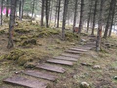 -硗碛藏寨·神木垒景区