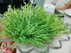 -煲宫(华润万象城店)