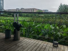 -3W咖啡(国家软件园店)