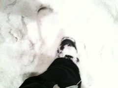 场馆-乔波室内滑雪场