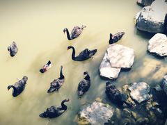 -天津东丽湖风景区