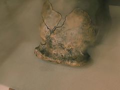 -王府井古人类文化遗址博物馆