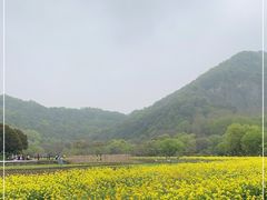 -八卦田遗址公园