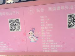 -东台西溪天仙缘景区