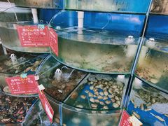 水产区-海之味海鲜大咖·家常菜