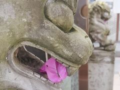 -大妙火锅·非物质文化遗产(东湖公园店)