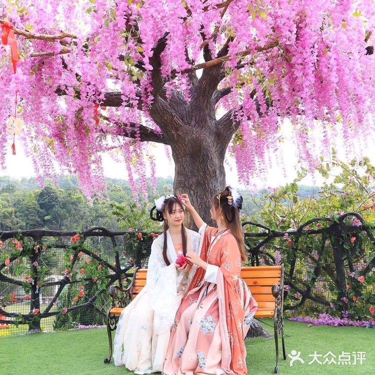 古韵观音山，穿汉服赏花“趣”踏青