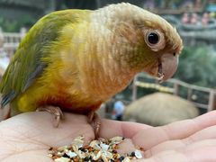 -南宫五洲植物乐园