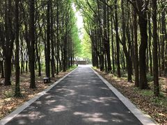 -同里国家湿地公园